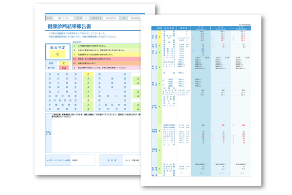 結果表作成：帳票イメージ（結果表（5号洋式）・定期検診結果表・雇入健診結果表・人間ドック結果表・特定健康診査結果通知表など）